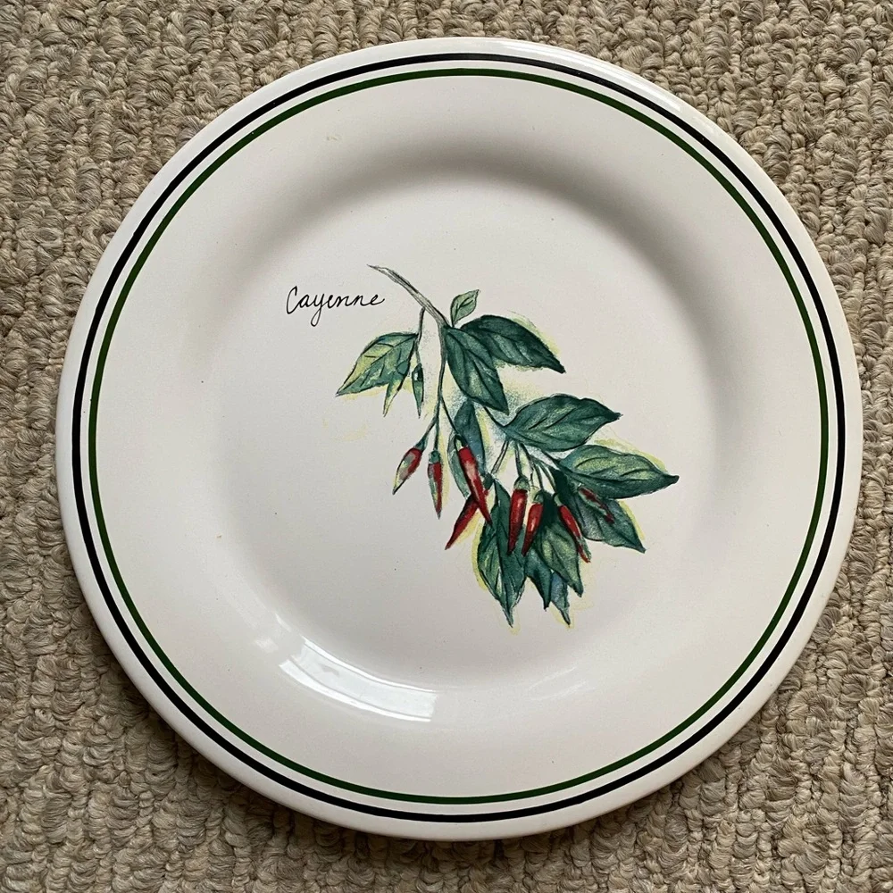 🌶️ WILLIAMS- SONOMA VINTAGE SALAD PLATE HERBS MADE IN PORTUGAL CAYENNE